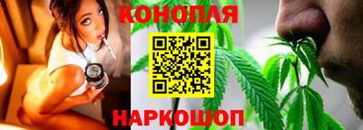 прущие крисы Аргун