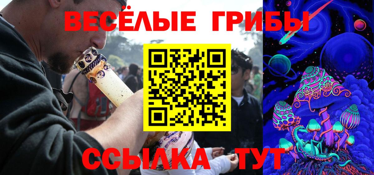 Галлюциногенные грибы GOLDEN TEACHER Великий Новгород